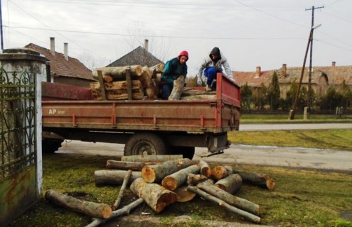 TTűzifa kiosztása...2015. január